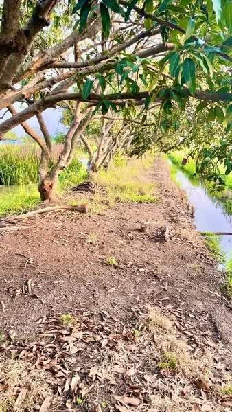 ขายที่ดินเปล่า ต.คู้สลอด อ.ลาดบัวหลวง จ.พระนครศรีอยุธยา ติดร้านอาหารซามูไรโฮม, พระนครศรีอยุธยา, คู้สลอด, ลาดบัวหลวง, พระนครศรีอยุธยา, 9,600 ตร.ม., ที่ดิน ขาย, โดย ERA Thailand, 500575664 - DDproperty.com