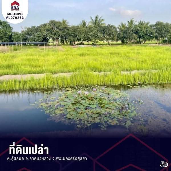 ขายที่ดินเปล่า ต.คู้สลอด อ.ลาดบัวหลวง จ.พระนครศรีอยุธยา ติดร้านอาหารซามูไรโฮม, Phra Nakhon Si Ayutthaya, Khu Salot, Lat Bua Luang, Phra Nakhon Si Ayutthaya, , 9,600 sqm, Land For Sale, by ERA Thailand, 500575664 - DDproperty.com