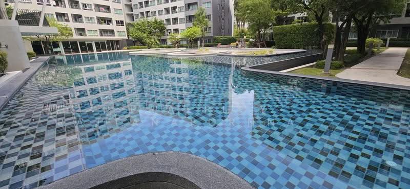 Elio Del Ray, Bangkok, 95 Sukhumvit 64 Road, Bang Chak, Phra Khanong, Bangkok, 1 Bedroom, 27 sqm, Condo For Rent, by Praeploy Rattanapornnapapatch, 500575665 - DDproperty.com