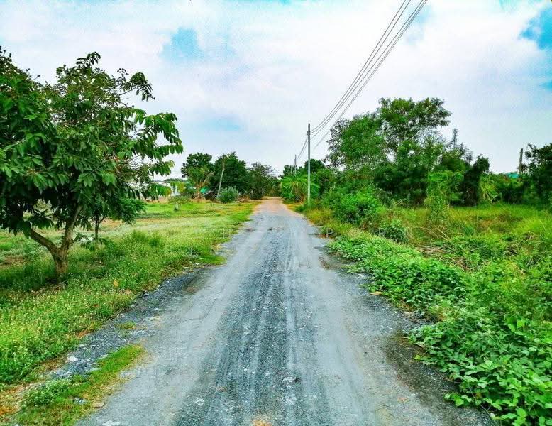 บ้าน 2-ห้องนอน, กรุงเทพ, หนองจอก, กรุงเทพ, 66 ตร.ม., บ้านเดี่ยว ขาย, โดย Patcharaporn Binsorlae, 500575692 - DDproperty.com