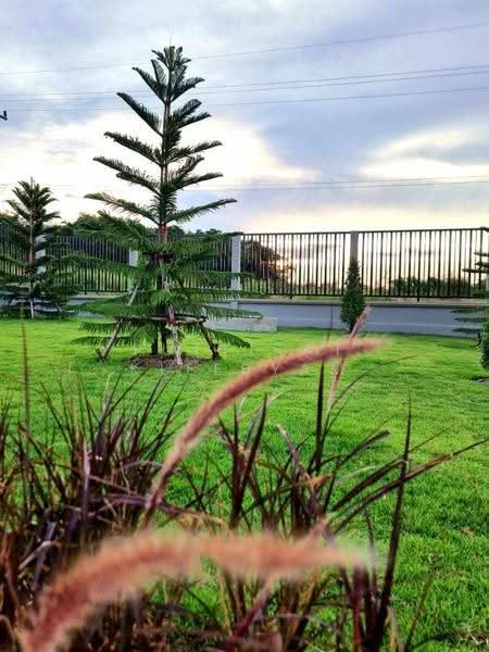 undefined, Chon Buri (Pattaya), Ban Bung, Chon Buri (Pattaya), 3 Bedrooms, 144 sqm, Single Detached House For Sale, by Puttirat Kleebyam, 500575824 - DDproperty.com