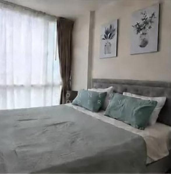 The Base Downtown, Phuket, Wichit Songkhram, Wichit, Muang Phuket, Phuket, 1 Bedroom, 35 sqm, Condo For Rent, by Connex Property, 500575851 - DDproperty.com