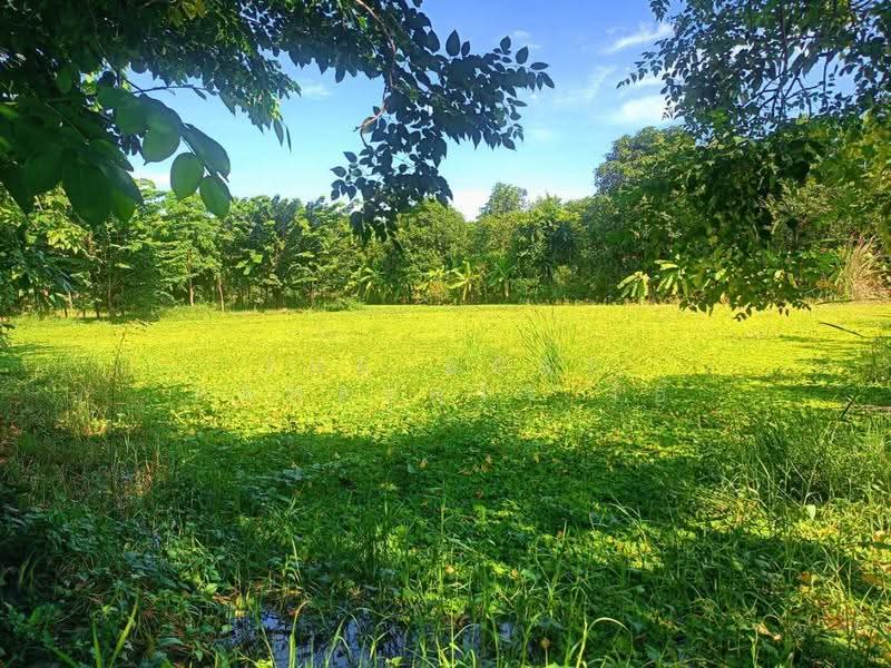 ที่ดินพร้อมสิ่งปลูกสร้างบ้านแพ้ว สมุทรสาคร, Samut Sakhon, Khlong Ton, Ban Phaeo, Samut Sakhon, , 10,972 sqm, Land For Sale, by The Best Property โอ๋, 500576006 - DDproperty.com