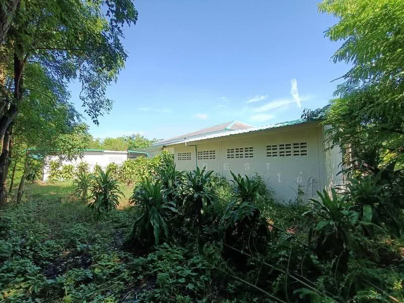 ที่ดินพร้อมสิ่งปลูกสร้างบ้านแพ้ว สมุทรสาคร, Samut Sakhon, Khlong Ton, Ban Phaeo, Samut Sakhon, , 10,972 sqm, Land For Sale, by The Best Property โอ๋, 500576006 - DDproperty.com