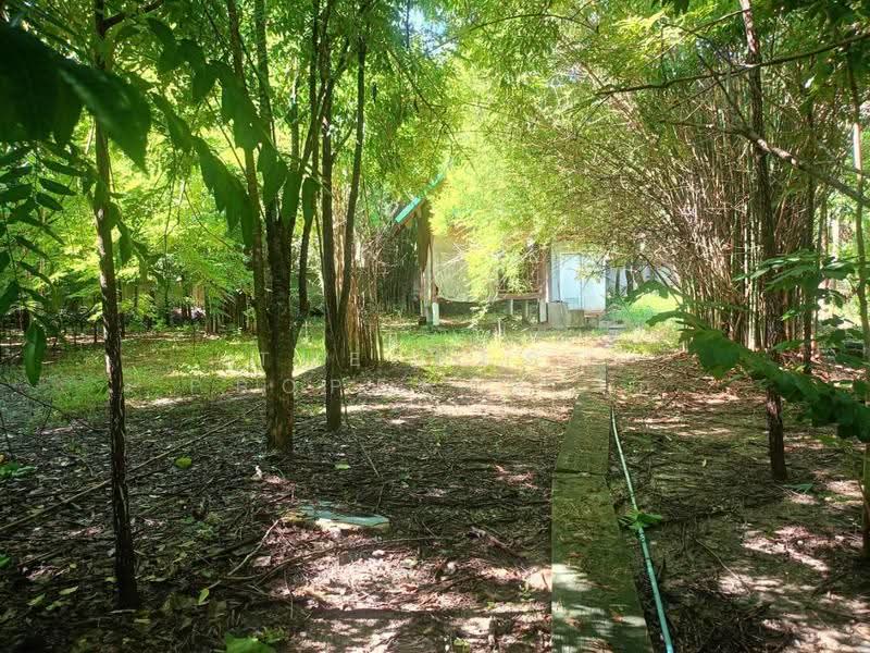 ที่ดินพร้อมสิ่งปลูกสร้างบ้านแพ้ว สมุทรสาคร, Samut Sakhon, Khlong Ton, Ban Phaeo, Samut Sakhon, , 10,972 sqm, Land For Sale, by The Best Property โอ๋, 500576006 - DDproperty.com