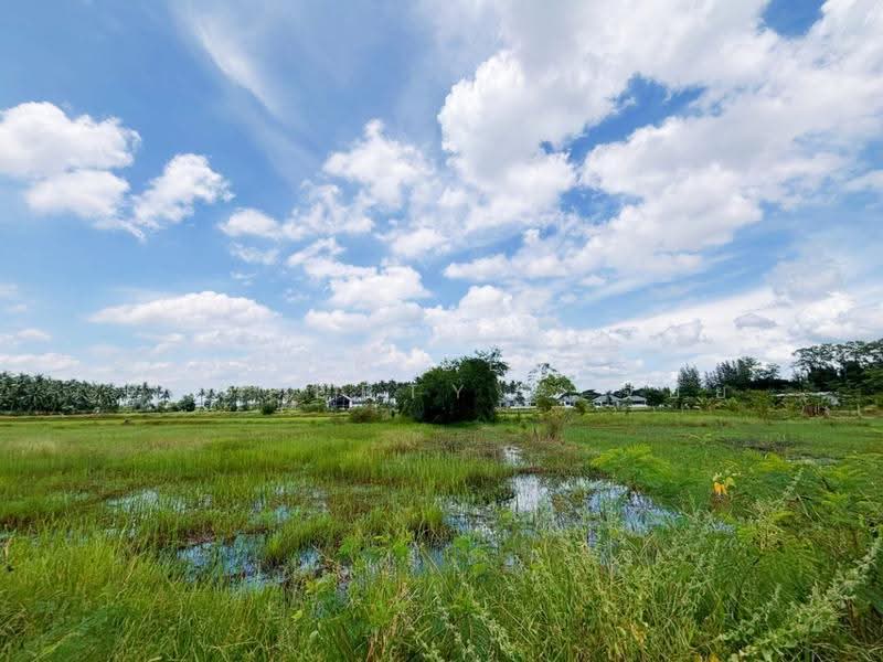 ที่ดินเจดีย์หัก ราชบุรี, Ratchaburi, Chedi Hak, Muang Ratchaburi, Ratchaburi, , 1,000 sqm, Land For Sale, by The Best Property จอย, 500576029 - DDproperty.com