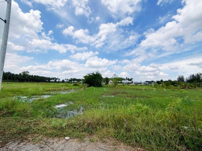 ที่ดินเจดีย์หัก ราชบุรี, Ratchaburi, Chedi Hak, Muang Ratchaburi, Ratchaburi, , 1,000 sqm, Land For Sale, by The Best Property จอย, 500576029 - DDproperty.com