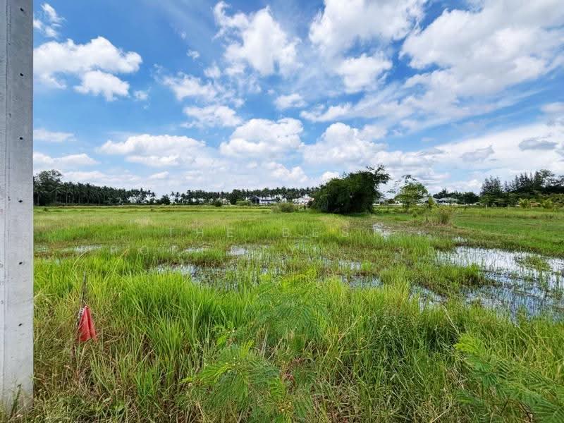 ที่ดินเจดีย์หัก ราชบุรี, Ratchaburi, Chedi Hak, Muang Ratchaburi, Ratchaburi, , 1,000 sqm, Land For Sale, by The Best Property จอย, 500576029 - DDproperty.com