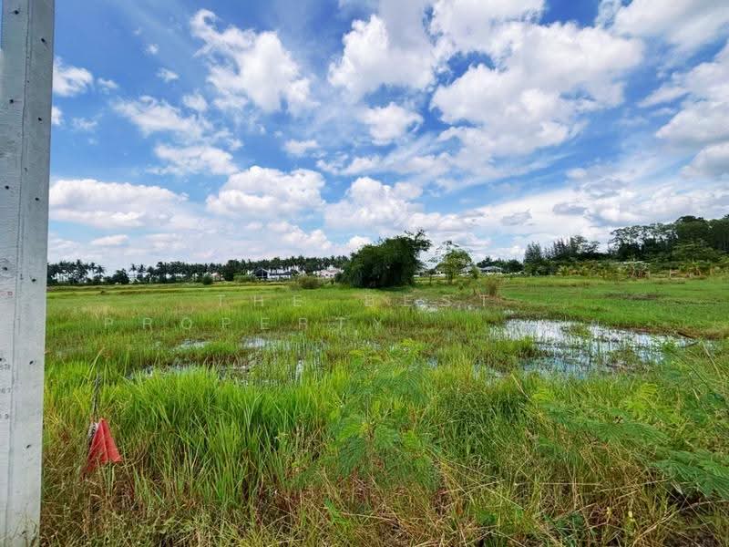 ที่ดินเจดีย์หัก ราชบุรี, Ratchaburi, Chedi Hak, Muang Ratchaburi, Ratchaburi, , 1,000 sqm, Land For Sale, by The Best Property จอย, 500576029 - DDproperty.com