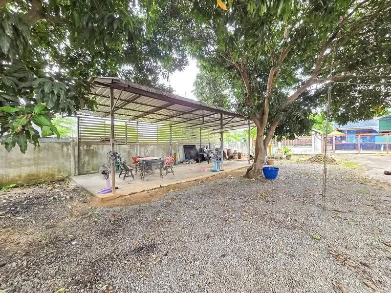 Land for Sale Nong Ket Yai East Pattaya 284 Sq.wah with House, Chon Buri (Pattaya), Nong Pru, Bang Lamung (Pattaya), Chon Buri (Pattaya), , 1,136 sqm, Land For Sale, by PLC real estate, 500576153 - DDproperty.com