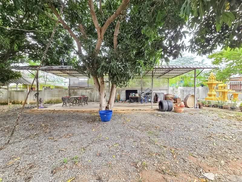 Land for Sale Nong Ket Yai East Pattaya 284 Sq.wah with House, Chon Buri (Pattaya), Nong Pru, Bang Lamung (Pattaya), Chon Buri (Pattaya), , 1,136 sqm, Land For Sale, by PLC real estate, 500576153 - DDproperty.com