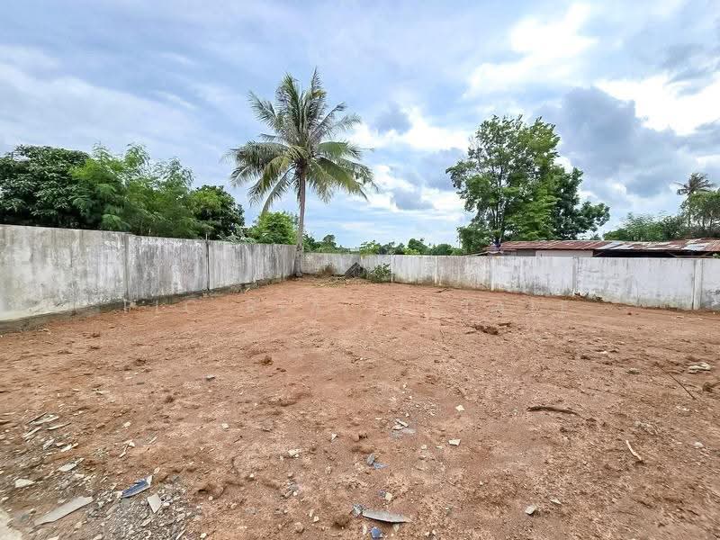 Land for Sale Nong Ket Yai East Pattaya 284 Sq.wah with House, Chon Buri (Pattaya), Nong Pru, Bang Lamung (Pattaya), Chon Buri (Pattaya), , 1,136 sqm, Land For Sale, by PLC real estate, 500576153 - DDproperty.com