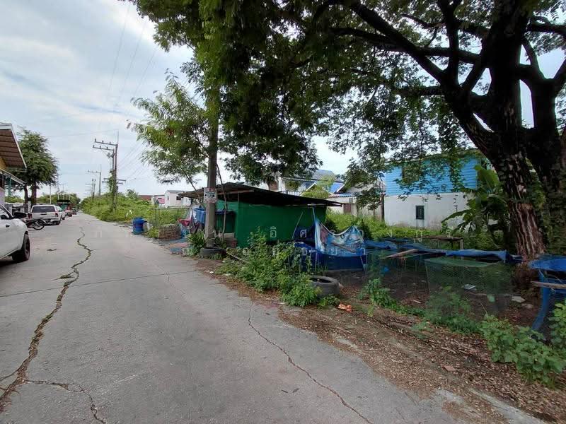 ที่ดินเปล่า ถนนรังสิต - นครนายก, ปทุมธานี, ลำผักกูด, ธัญบุรี, ปทุมธานี, 240 ตร.ม., ที่ดิน ขาย, โดย ภัทรนัน อิศรางกูร ณ อยุธยา, 500576163 - DDproperty.com