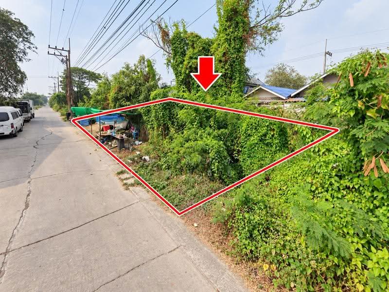 ที่ดินเปล่า ถนนรังสิต - นครนายก, Pathum Thani, Lam Phak Kut, Thanyaburi, Pathum Thani, , 240 sqm, Land For Sale, by ภัทรนัน อิศรางกูร ณ อยุธยา, 500576163 - DDproperty.com