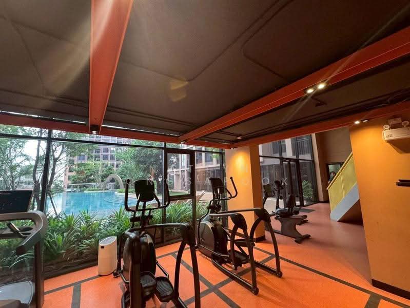 Oneder Kaset Condo, Bangkok, 99 Ngamwongwan Road, Lat Yao, Chatuchak, Bangkok, 2 Bedrooms, 36 sqm, Condo For Rent, by Natlyn Kongsapook, 500576199 - DDproperty.com