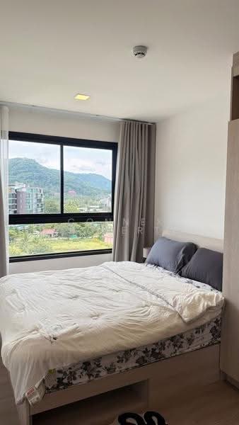 The Base Bukit Phuket, Phuket, 12 Vichitsongkram Rd, Wichit, Muang Phuket, Phuket, 1 Bedroom, 30 sqm, Condo For Rent, by Connex Property, 500576219 - DDproperty.com