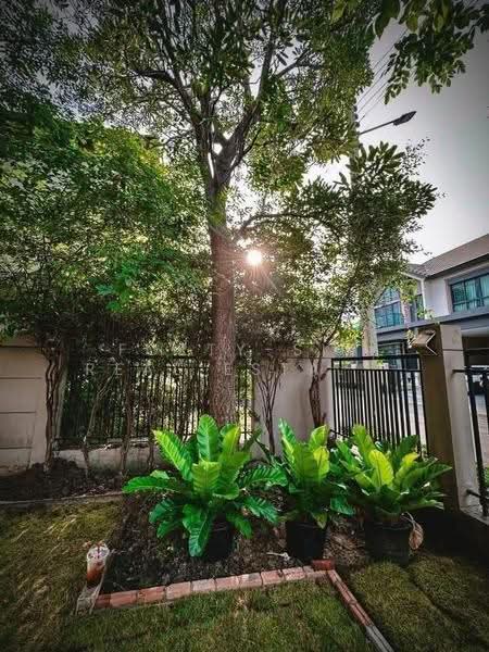 Bangkok Boulevard Rangsit, Pathum Thani, Rangsit-Nakhon Nayok Road, Bang Yitho, Thanyaburi, Pathum Thani, 5 Bedrooms, 248 sqm, Single Detached House For Rent, by Forty-Six Real Estate Group, 500576230 - DDproperty.com
