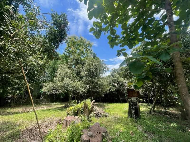 For Sale: 11 Rai Land with Teak House,Mae Rim,Chiang Mai, Chiang Mai, Huai Sai, Mae Rim, Chiang Mai, , 18,193 sqm, Land For Sale, by จีระนันท์ หล้ากันหา, 500576604 - DDproperty.com