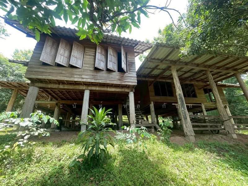 ขายที่ดิน 11 ไร่กว่า พร้อมบ้านไม้สัก วิวภูเขา ใกล้ รร.นานาชาติเปรม แม่ริม เชียงใหม่, เชียงใหม่, ห้วยทราย, แม่ริม, เชียงใหม่, 18,193 ตร.ม., ที่ดิน ขาย, โดย จีระนันท์ หล้ากันหา, 500576604 - DDproperty.com