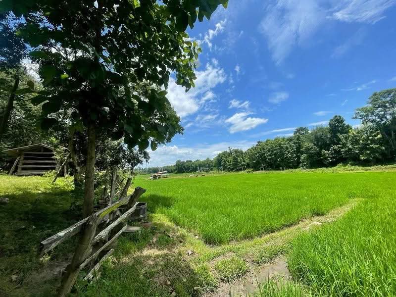 ขายที่ดิน 11 ไร่กว่า พร้อมบ้านไม้สัก วิวภูเขา ใกล้ รร.นานาชาติเปรม แม่ริม เชียงใหม่, เชียงใหม่, ห้วยทราย, แม่ริม, เชียงใหม่, 18,193 ตร.ม., ที่ดิน ขาย, โดย จีระนันท์ หล้ากันหา, 500576604 - DDproperty.com