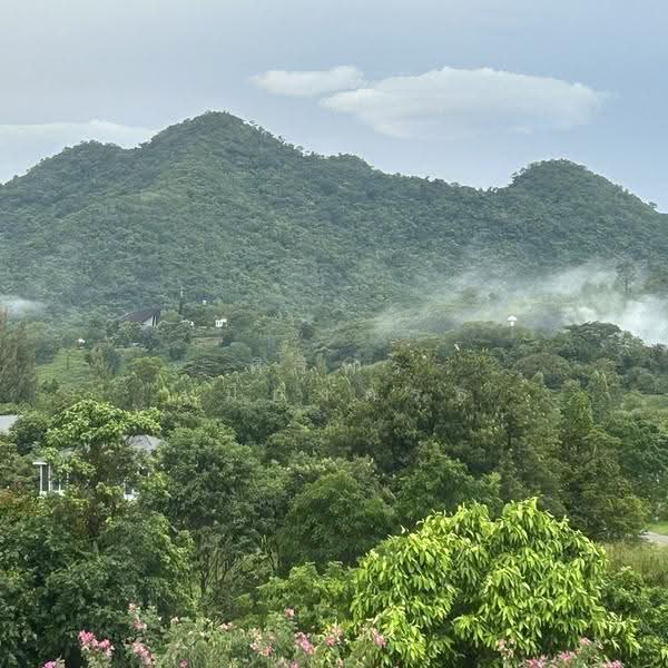 เขาใหญ่ the paradis ปากช่อง นครราชสีมา, Nakhon Ratchasima, ธนรัชต์ กม.9, Nong Nam Sang, Pak Chong, Nakhon Ratchasima, 9 Bedrooms, 1 sqm, Single Detached House For Sale, by ศิริพร เมืองครุธ, 500576634 - DDproperty.com