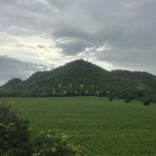 เขาใหญ่ the paradis ปากช่อง นครราชสีมา, Nakhon Ratchasima, ธนรัชต์ กม.9, Nong Nam Sang, Pak Chong, Nakhon Ratchasima, 9 Bedrooms, 1 sqm, Single Detached House For Sale, by ศิริพร เมืองครุธ, 500576634 - DDproperty.com