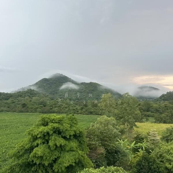 เขาใหญ่ the paradis ปากช่อง นครราชสีมา, Nakhon Ratchasima, ธนรัชต์ กม.9, Nong Nam Sang, Pak Chong, Nakhon Ratchasima, 9 Bedrooms, 1 sqm, Single Detached House For Sale, by ศิริพร เมืองครุธ, 500576634 - DDproperty.com