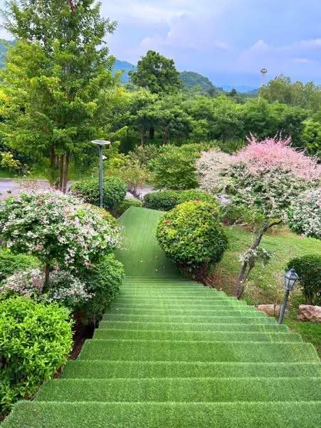 เขาใหญ่ the paradis ปากช่อง นครราชสีมา, นครราชสีมา, ธนรัชต์ กม.9, หนองน้ำแดง, ปากช่อง, นครราชสีมา, 1 ตร.ม., บ้านเดี่ยว ขาย, โดย ศิริพร เมืองครุธ, 500576634 - DDproperty.com
