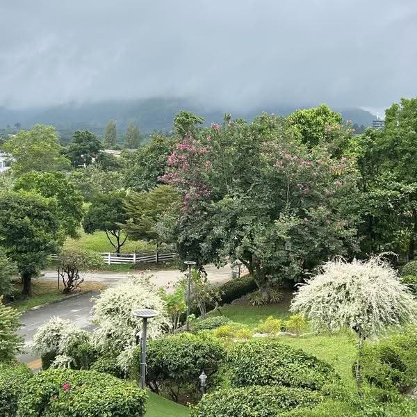 เขาใหญ่ the paradis ปากช่อง นครราชสีมา, Nakhon Ratchasima, ธนรัชต์ กม.9, Nong Nam Sang, Pak Chong, Nakhon Ratchasima, 9 Bedrooms, 1 sqm, Single Detached House For Sale, by ศิริพร เมืองครุธ, 500576634 - DDproperty.com