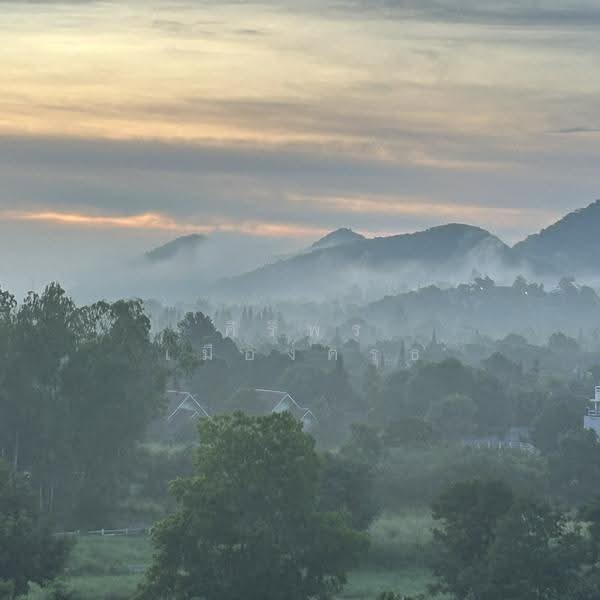 เขาใหญ่ the paradis ปากช่อง นครราชสีมา, Nakhon Ratchasima, ธนรัชต์ กม.9, Nong Nam Sang, Pak Chong, Nakhon Ratchasima, 9 Bedrooms, 1 sqm, Single Detached House For Sale, by ศิริพร เมืองครุธ, 500576634 - DDproperty.com