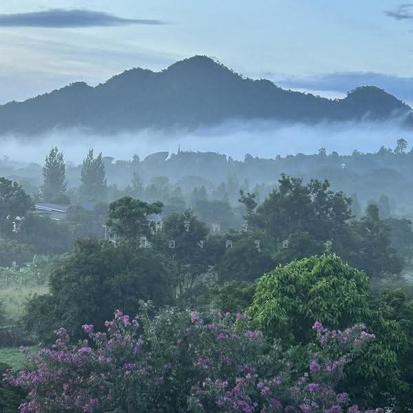 เขาใหญ่ the paradis ปากช่อง นครราชสีมา, Nakhon Ratchasima, ธนรัชต์ กม.9, Nong Nam Sang, Pak Chong, Nakhon Ratchasima, 9 Bedrooms, 1 sqm, Single Detached House For Sale, by ศิริพร เมืองครุธ, 500576634 - DDproperty.com