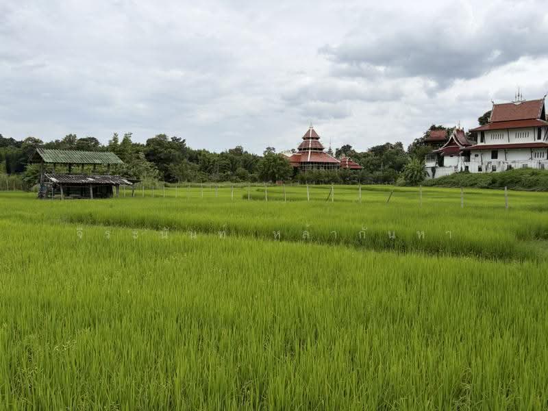 For Sale: 2 Rai+ Land Near Prem International School, Mae Rim, Chiang Mai, Huai Sai, Mae Rim, Chiang Mai, , 3,916 sqm, Land For Sale, by จีระนันท์ หล้ากันหา, 500576643 - DDproperty.com