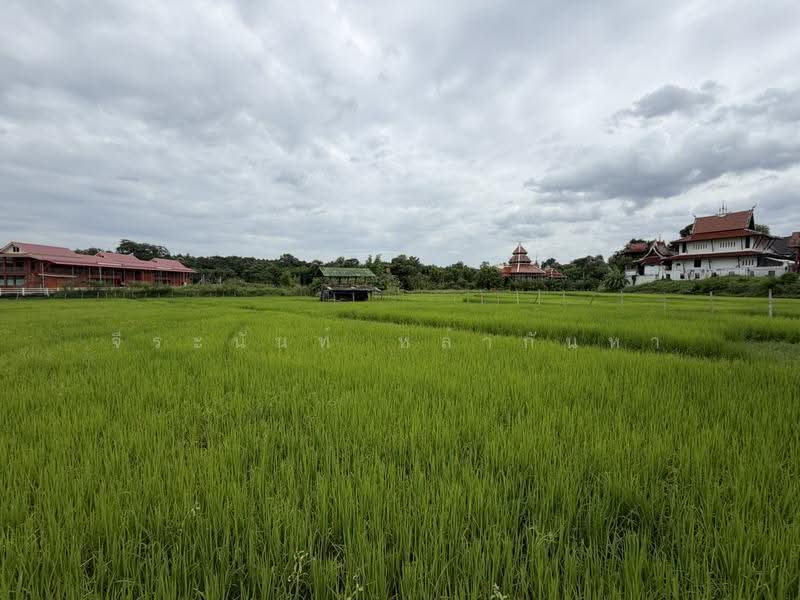 For Sale: 2 Rai+ Land Near Prem International School, Mae Rim, Chiang Mai, Huai Sai, Mae Rim, Chiang Mai, , 3,916 sqm, Land For Sale, by จีระนันท์ หล้ากันหา, 500576643 - DDproperty.com
