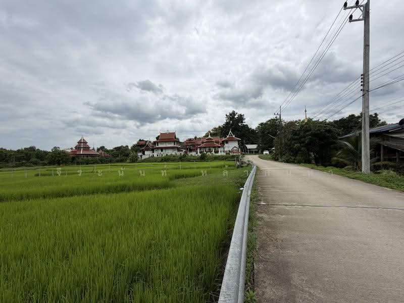 For Sale: 2 Rai+ Land Near Prem International School, Mae Rim, Chiang Mai, Huai Sai, Mae Rim, Chiang Mai, , 3,916 sqm, Land For Sale, by จีระนันท์ หล้ากันหา, 500576643 - DDproperty.com
