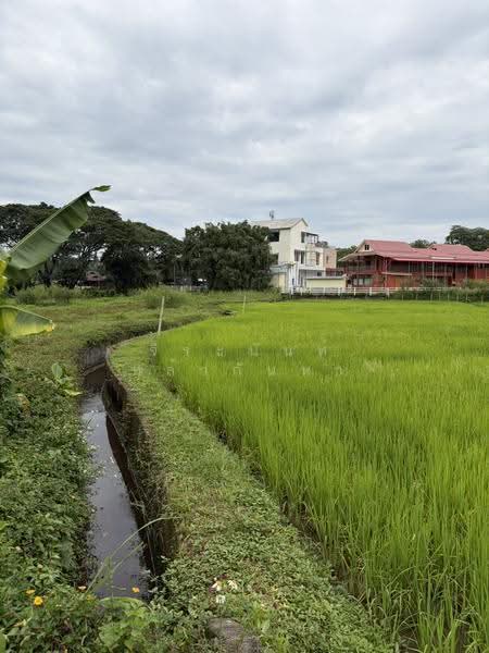 For Sale: 2 Rai+ Land Near Prem International School, Mae Rim, Chiang Mai, Huai Sai, Mae Rim, Chiang Mai, , 3,916 sqm, Land For Sale, by จีระนันท์ หล้ากันหา, 500576643 - DDproperty.com