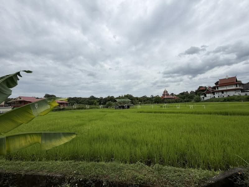 For Sale: 2 Rai+ Land Near Prem International School, Mae Rim, Chiang Mai, Huai Sai, Mae Rim, Chiang Mai, , 3,916 sqm, Land For Sale, by จีระนันท์ หล้ากันหา, 500576643 - DDproperty.com