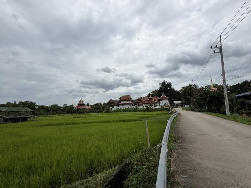 For Sale: 2 Rai+ Land Near Prem International School, Mae Rim, Chiang Mai, Huai Sai, Mae Rim, Chiang Mai, , 3,916 sqm, Land For Sale, by จีระนันท์ หล้ากันหา, 500576643 - DDproperty.com
