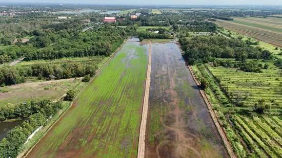 Land for sale Klong16 ongkarak nakornnayok, nakhon-nayok, Khlong Yai, Ongkharak, Nakhon Nayok, , 46,504 sqm, Land For Sale, by ดวงจงกล ชุ่มสวัสดิ์ (ออ), 500576666 - DDproperty.com