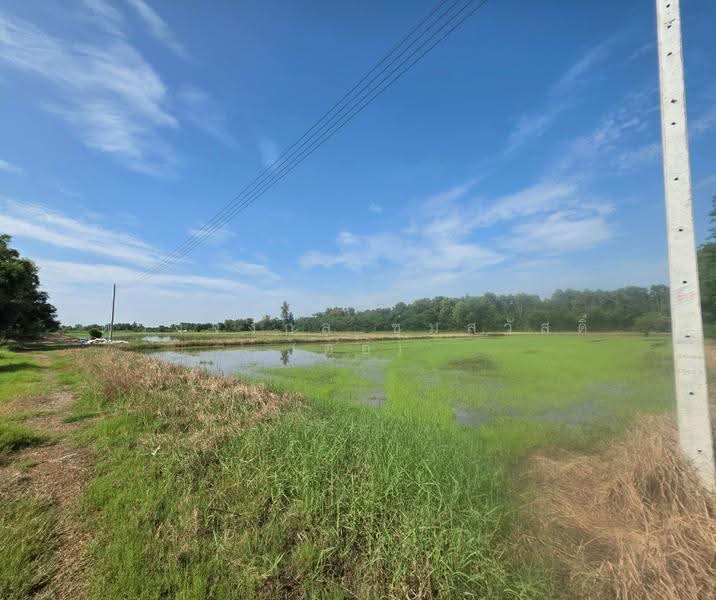Land for sale Klong16 ongkarak nakornnayok, nakhon-nayok, Khlong Yai, Ongkharak, Nakhon Nayok, , 46,504 sqm, Land For Sale, by ดวงจงกล ชุ่มสวัสดิ์ (ออ), 500576666 - DDproperty.com