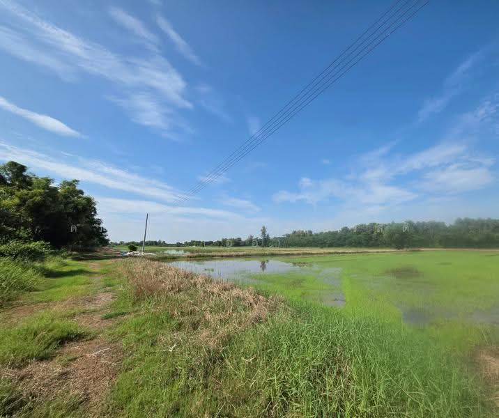 Land for sale Klong16 ongkarak nakornnayok, nakhon-nayok, Khlong Yai, Ongkharak, Nakhon Nayok, , 46,504 sqm, Land For Sale, by ดวงจงกล ชุ่มสวัสดิ์ (ออ), 500576666 - DDproperty.com