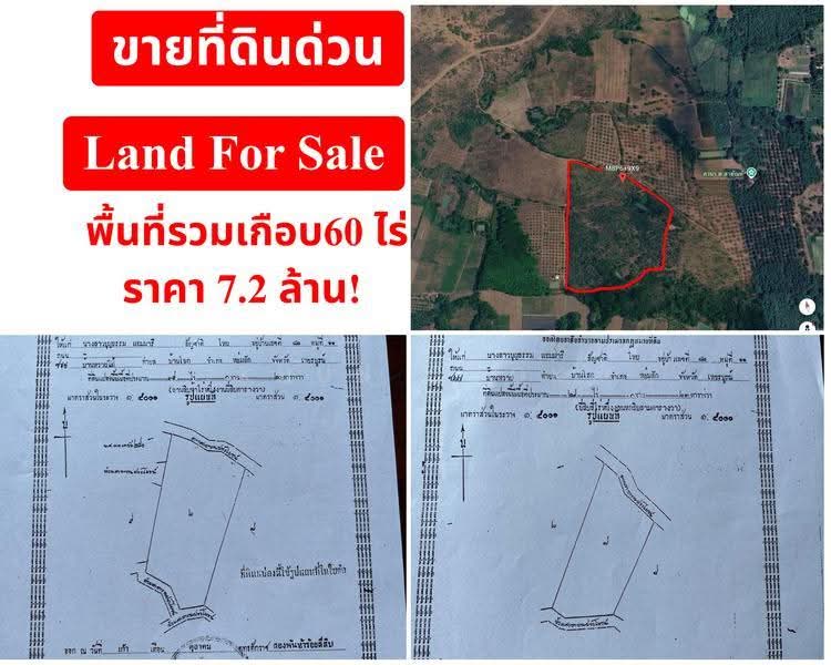 ขายด่วน ที่ดินป่าสัก ขนาด 60ไร่ ราคาถูก พร้อมโอน, Phetchabun, Pak Chong, Lom Sak, Phetchabun, , 95,532 sqm, Land For Sale, by Khun Cook, 500576692 - DDproperty.com