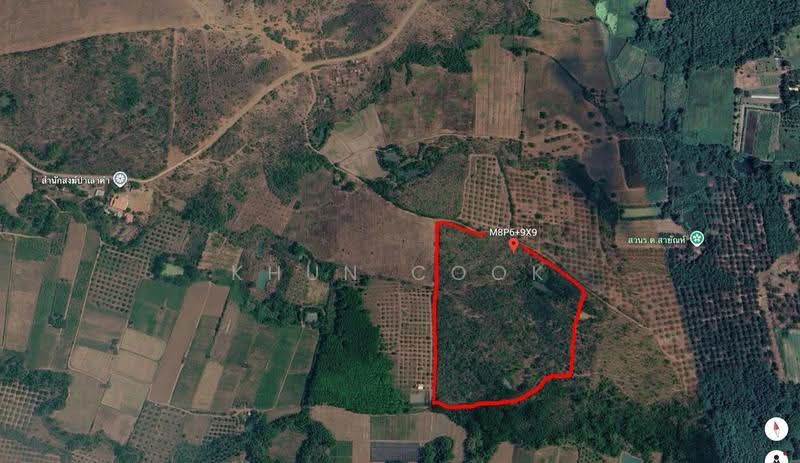 ขายด่วน ที่ดินป่าสัก ขนาด 60ไร่ ราคาถูก พร้อมโอน, Phetchabun, Pak Chong, Lom Sak, Phetchabun, , 95,532 sqm, Land For Sale, by Khun Cook, 500576692 - DDproperty.com