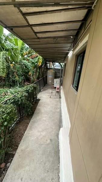 Baan Pruksa 79 Lumlukka Klong 3, Pathum Thani, Lam Luk Ka Road, Lat Sawai, Lam Luk Ka, Pathum Thani, 3 Bedrooms, 150 sqm, Townhouse For Rent, by บุษบา รัตนวงษ์ชัย, 500576702 - DDproperty.com