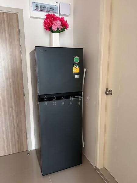 Phyll Phuket, Phuket, 9 Village No. 4 Muang Naka Rd, Wichit, Muang Phuket, Phuket, 1 Bedroom, 29 sqm, Condo For Rent, by Connex Property, 500576709 - DDproperty.com