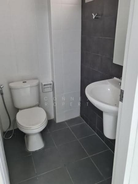 My Condo Sukhumvit 52 : มายคอนโด สุขุมวิท 52, กรุงเทพ, ถนนสุขุมวิท 52, บางจาก, พระโขนง, กรุงเทพ, 25 ตร.ม., คอนโด ให้เช่า, โดย Connex Property, 500576804 - DDproperty.com