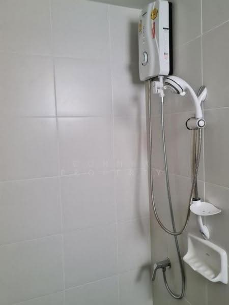 My Condo Sukhumvit 52 : มายคอนโด สุขุมวิท 52, กรุงเทพ, ถนนสุขุมวิท 52, บางจาก, พระโขนง, กรุงเทพ, 25 ตร.ม., คอนโด ให้เช่า, โดย Connex Property, 500576804 - DDproperty.com