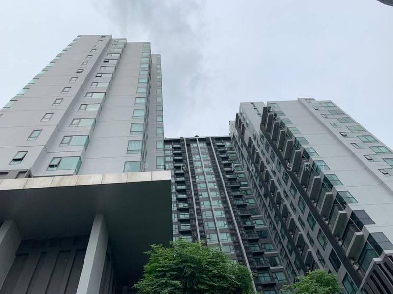 Rhythm Sukhumvit 36-38, Bangkok, 55 Soi Sukhumvit 36, Sukhumvit Road, Phra Kanong, Khlong Toei, Bangkok, 1 Bedroom, 33 sqm, Condo For Rent, by Patraporn Kansri, 500576931 - DDproperty.com