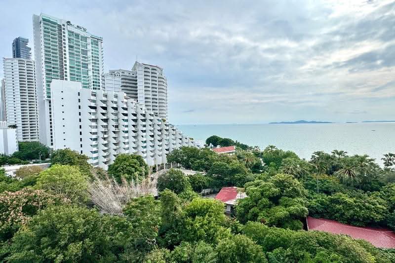The Palm Wongamat Beach : เดอะ ปาล์ม วงศ์อมาตย์, ชลบุรี, ถนน ซอย นาเกลือ 16, นาเกลือ, บางละมุง, ชลบุรี, 33 ตร.ม., คอนโด ขาย, โดย วชิราพันธ์ โฟรห์ลิค, 500576992 - DDproperty.com