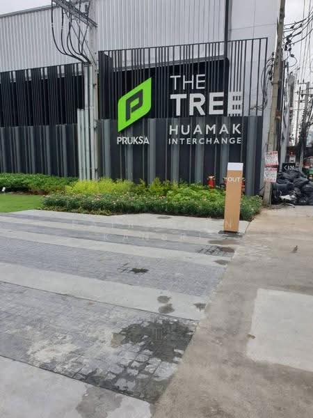 The Tree Hua Mak : เดอะ ทรี หัวหมาก, กรุงเทพ, ถนนรามคำแหง, หัวหมาก, บางกะปิ, กรุงเทพ, 26 ตร.ม., คอนโด ให้เช่า, โดย Patraporn Kansri, 500577067 - DDproperty.com