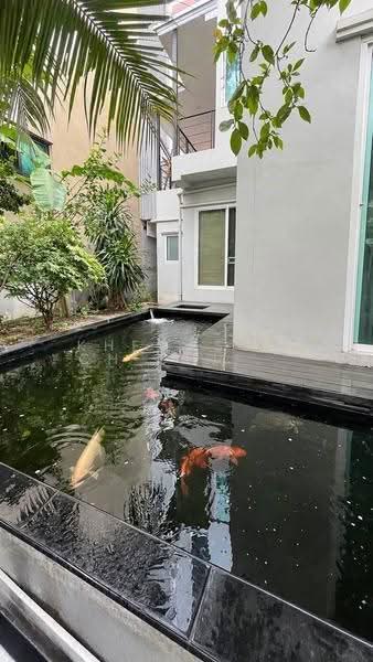 บ้าน 6-ห้องนอน, กรุงเทพ, จอมพล, จตุจักร, กรุงเทพ, 400 ตร.ม., บ้านเดี่ยว ขาย, โดย Khemasooch Chiraburanan, 500577149 - DDproperty.com